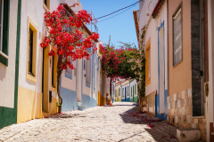 Algarve Frühjahr 2019