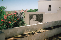 Alma protugesa - Alte