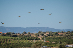 Formationsflug