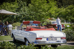 Mercedes-Benz 220 SE Cabriolet