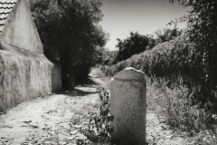 Einsamer Weg
