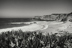 Praia do Amado