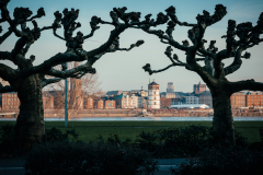Altstadt Düsseldorf -von Oberkassel aus fotografiert