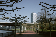 Am Rheinufer  zwischen Ladntag und Altstadt