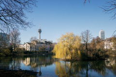 Am Schwanenspiegel