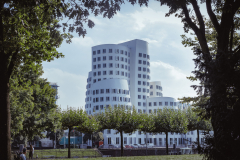 Die Bauten von Frank Gehry