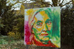 Jane Godall
