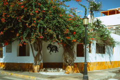 In der Stadt von Corralejo