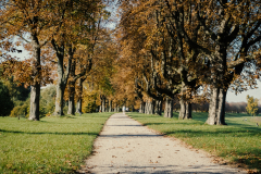 Allee am Rheinufer Neuss