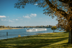 Rheinpanorama bei Grimmlinghausen