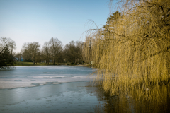 Gefrorener Weiher in Neuss