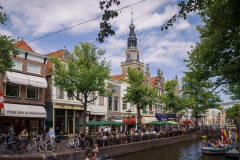 Mient, Alkmaar