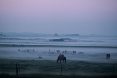 Abendstimmung in Camperduin