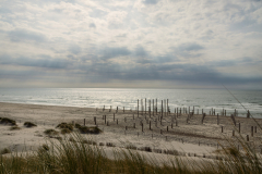 Am Strand von Petten