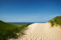 Dünen zwischen Hargen aan Zee und Schoorl