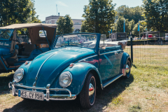 MG_9499