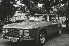 Alfa-Romeo