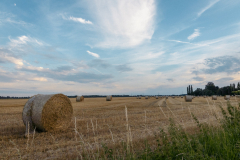 Sommerstimmung über den Feldern