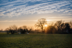 Abendstimmung an der Willicher HEide