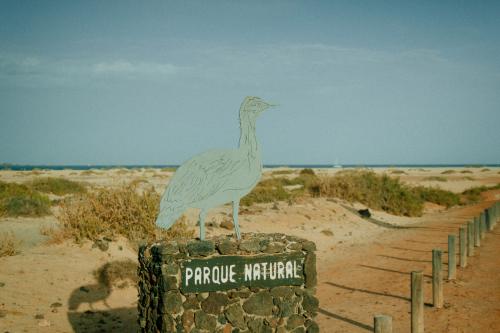 Parque Natural, Corralejo