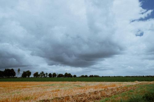 Wolkenspiel über den Feldern bei Neubrück
