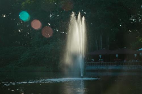 Wasserspiel im Park